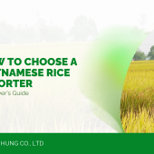 How to Choose a Vietnamese Rice Exporter: A Buyer's Guide