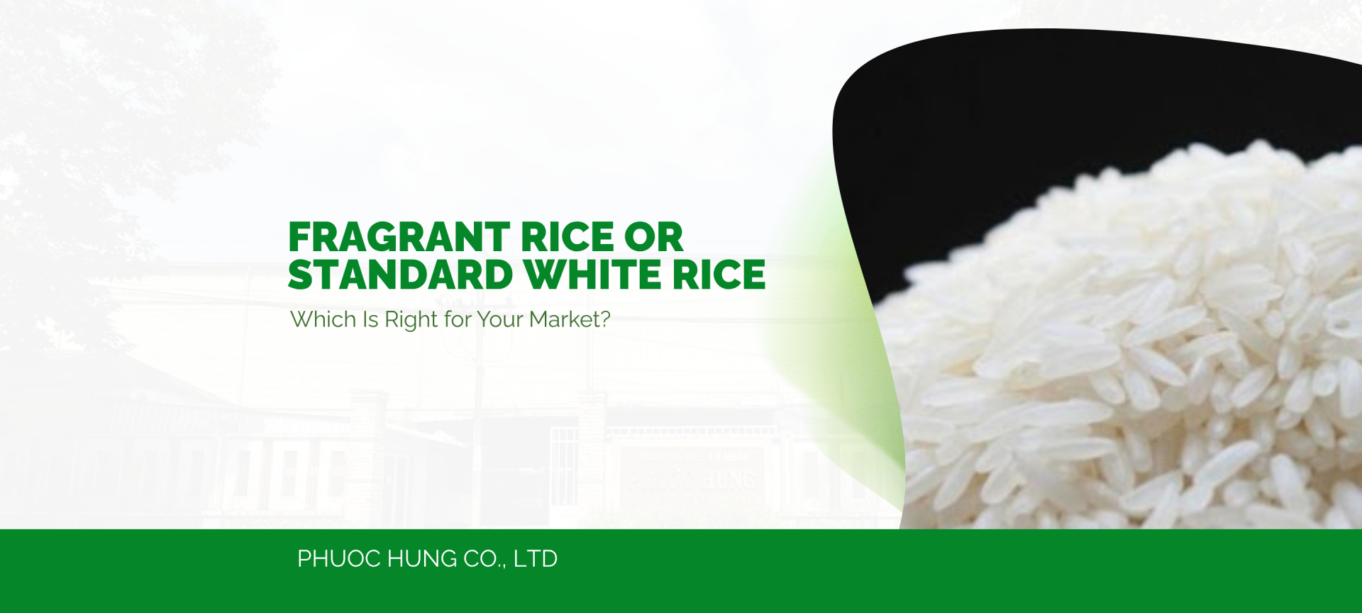 Fragrant Rice or Standard White Rice: Which Is Right for Your Market?