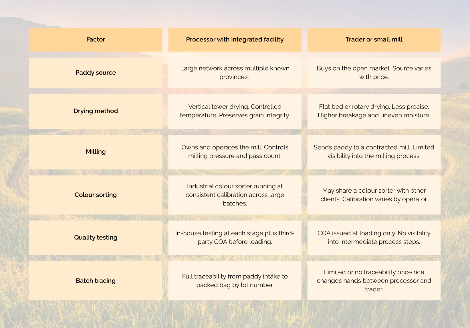 Key questions to ask a Vietnamese rice supplier before placing an order