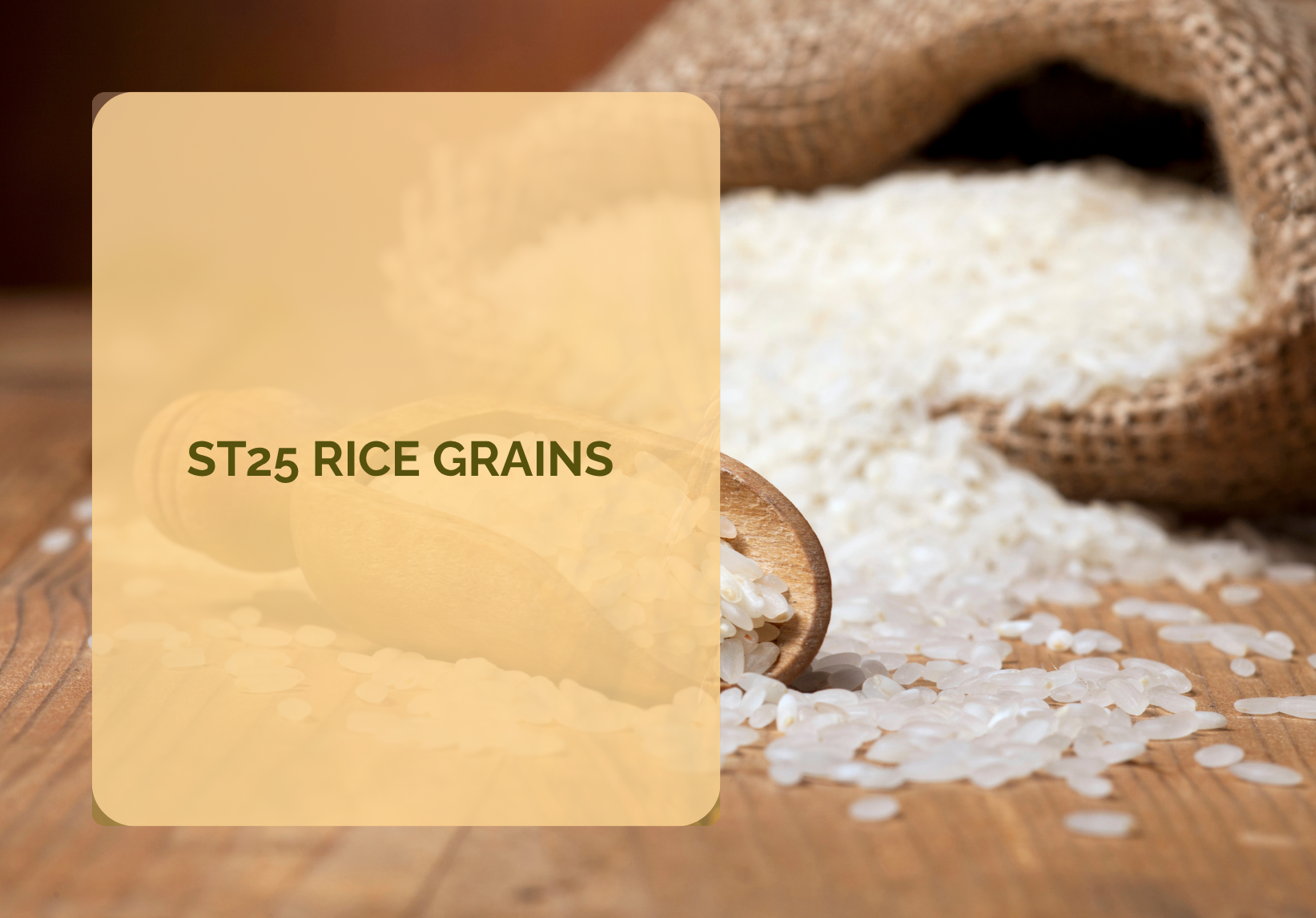 ST25 rice grains — soft texture and natural pandan aroma