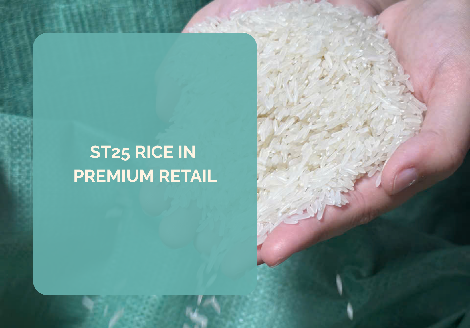 ST25 rice in premium retail — Europe and Australia markets