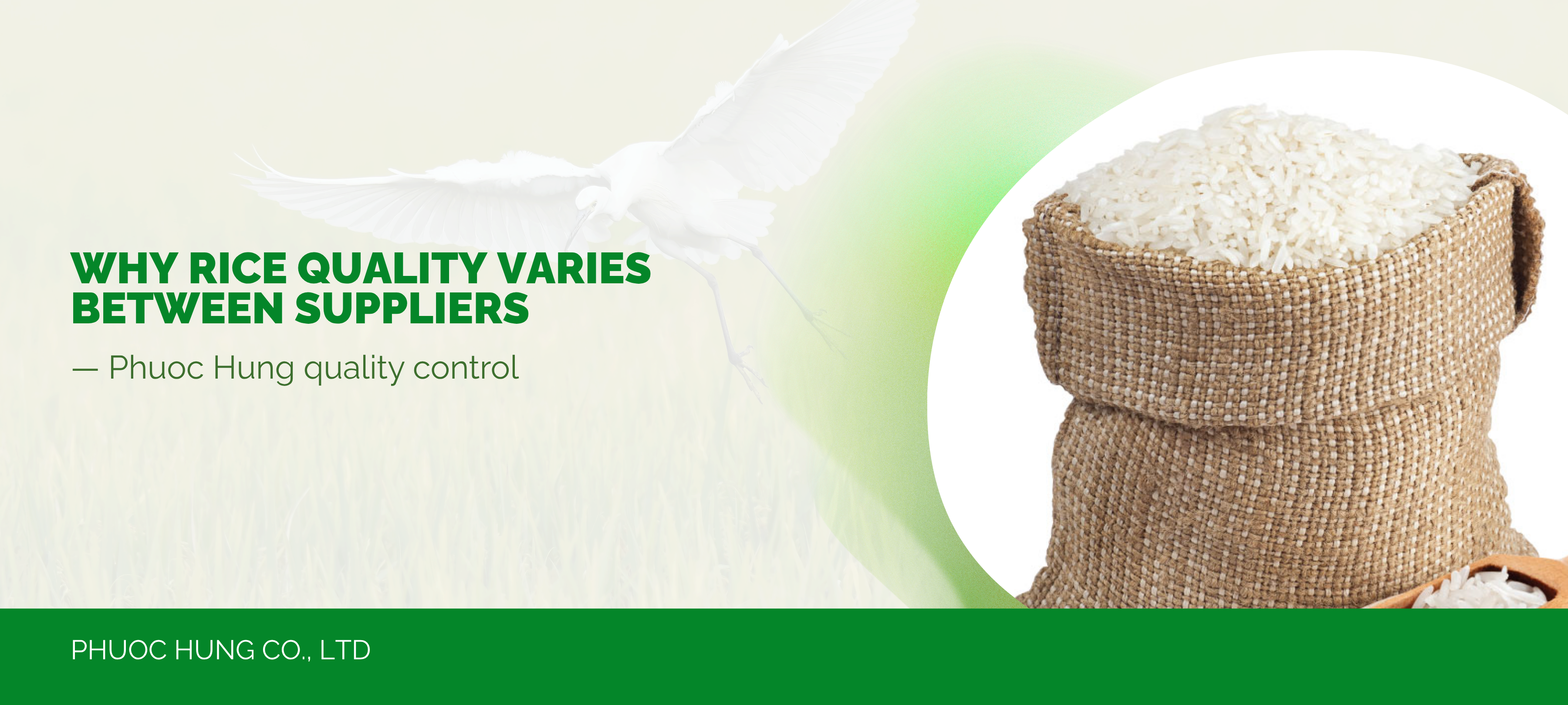 Why rice quality varies between suppliers — Phuoc Hung quality control