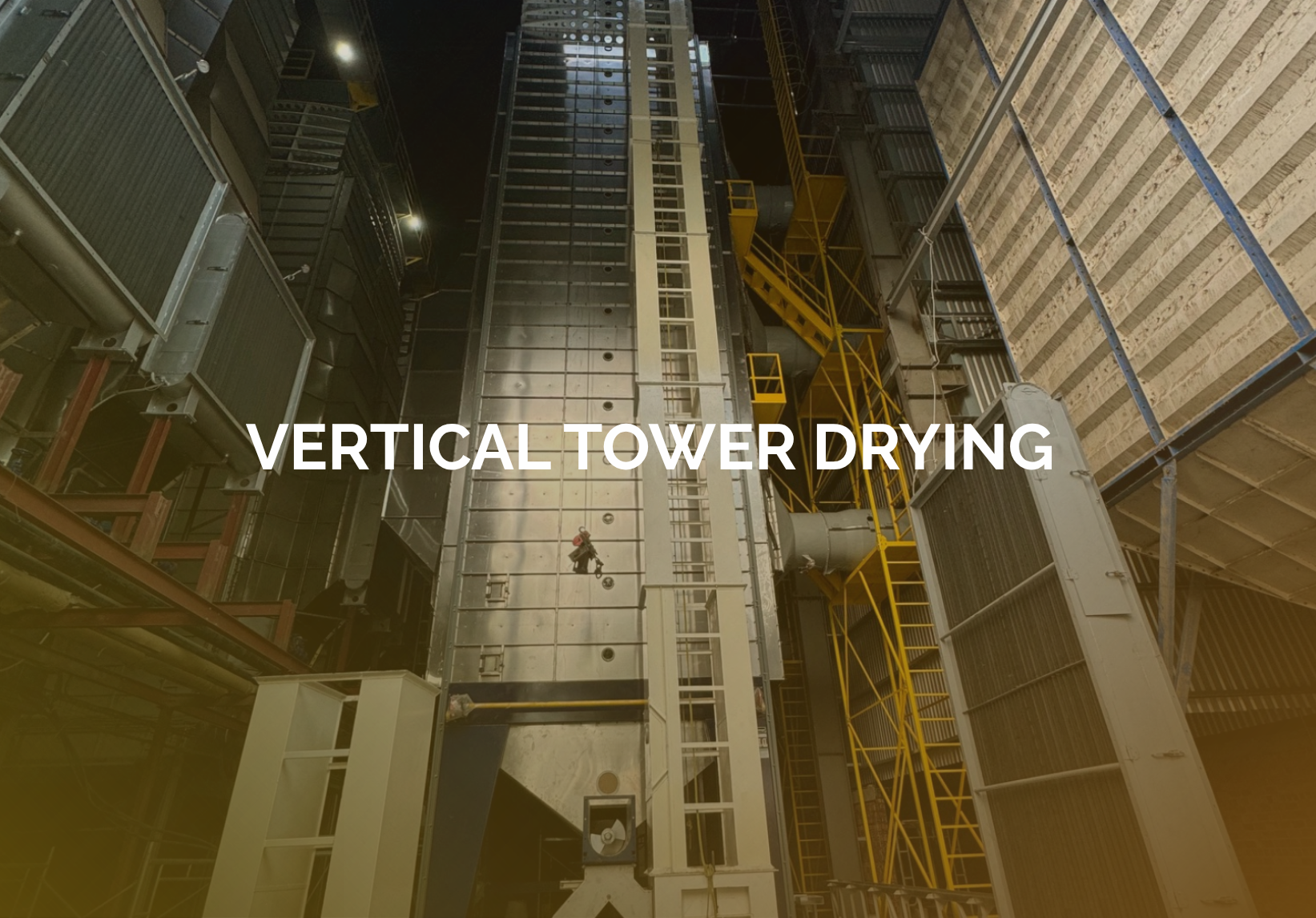 Vertical tower drying — controlled moisture reduction for consistent rice quality