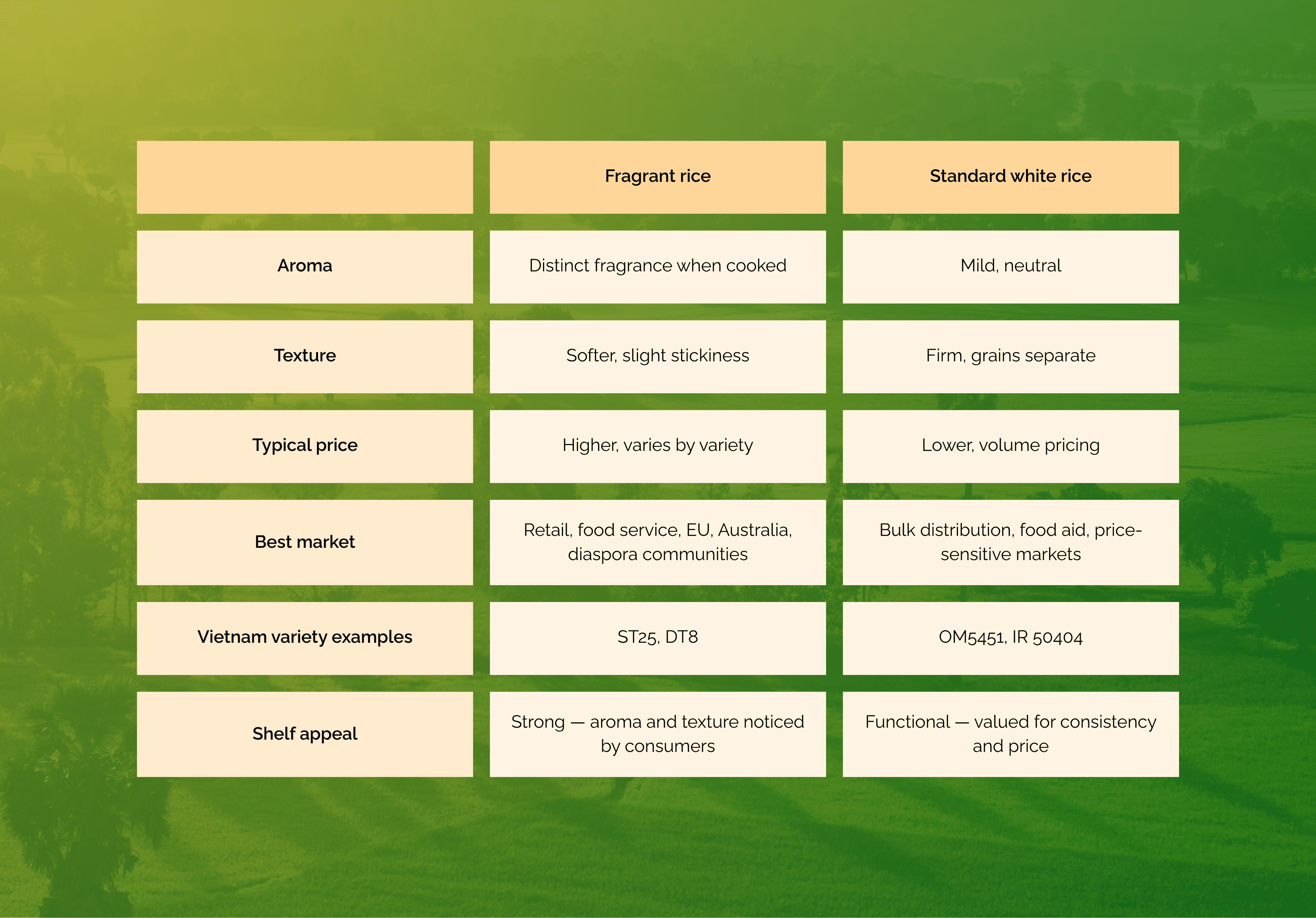 Fragrant rice vs standard white rice — two distinct products for two distinct markets