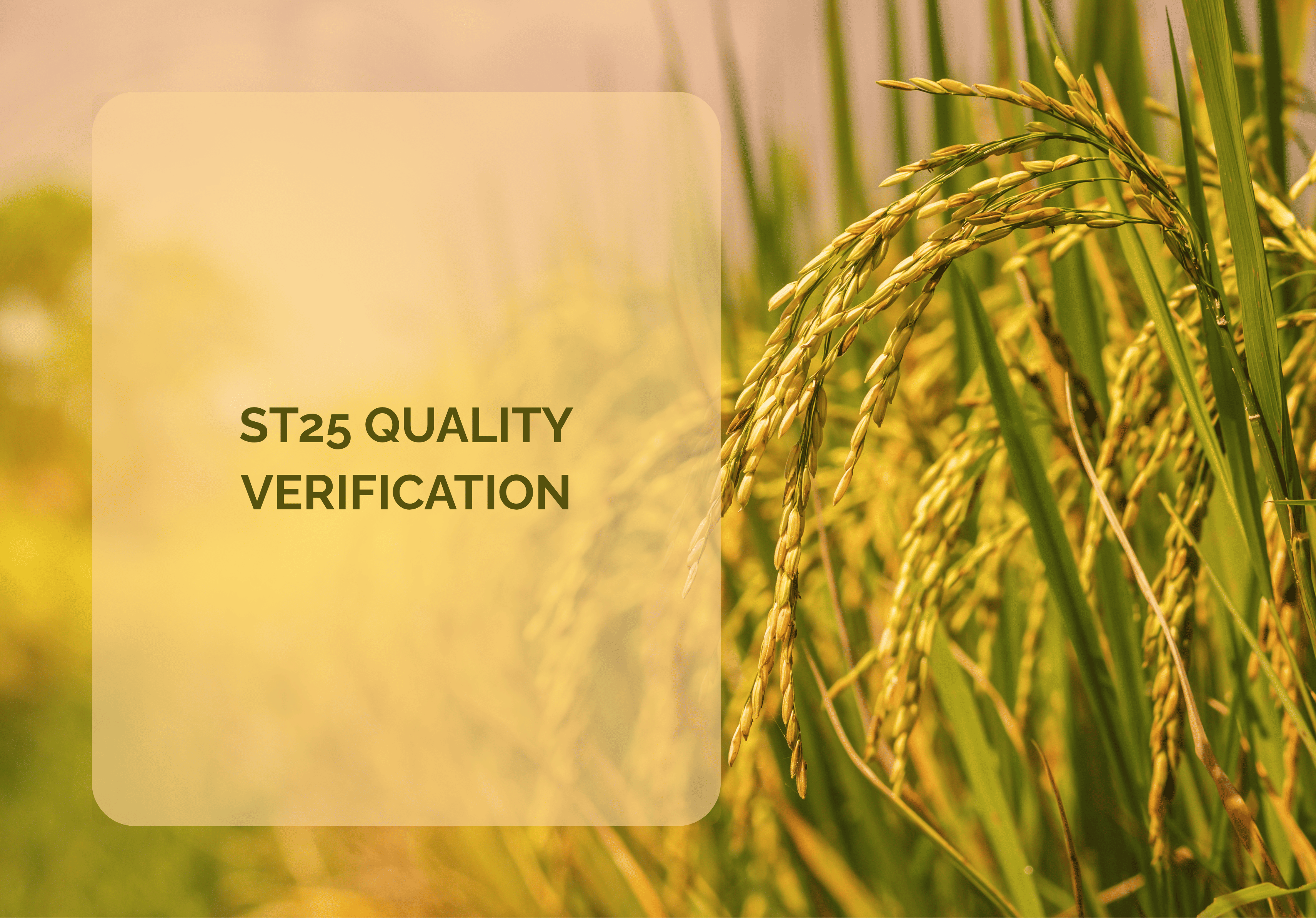 ST25 quality verification — certificates and traceability
